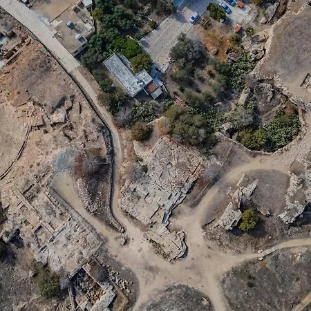 Апартаменты Estea - Eleni's Olive Tree House *