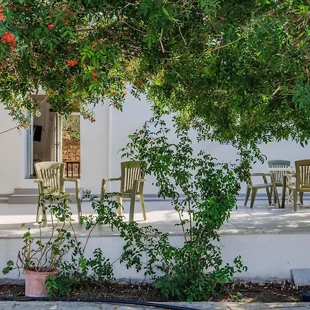 Estea - Eleni's Olive Tree House Апартаменты Пафос